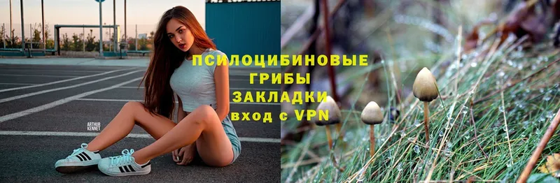 Галлюциногенные грибы Magic Shrooms  гидра зеркало  Краснообск 